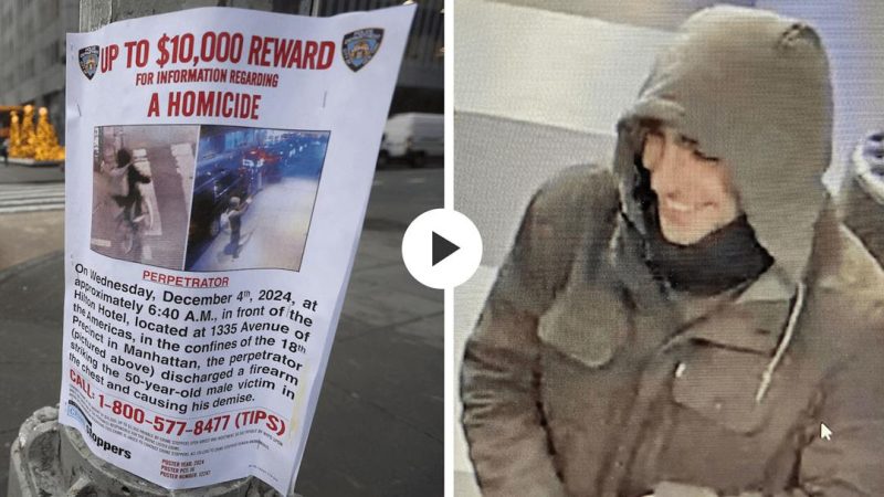 2024年12月5日-华尔街回顾-初见-