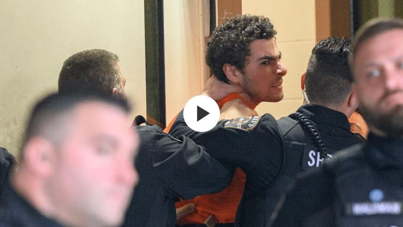 2024年12月10日-华尔街回顾-初见-