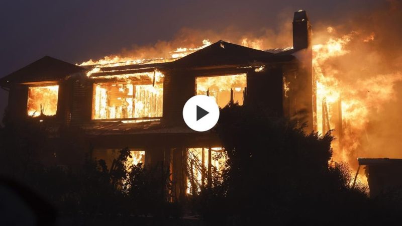 2025年1月8日-华尔街回顾-初见-